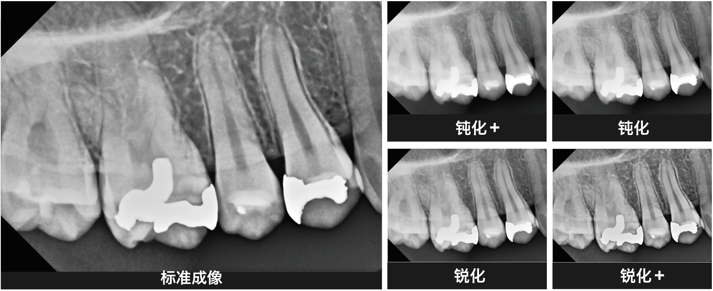 1744185381254496.png 1744185381254496.png