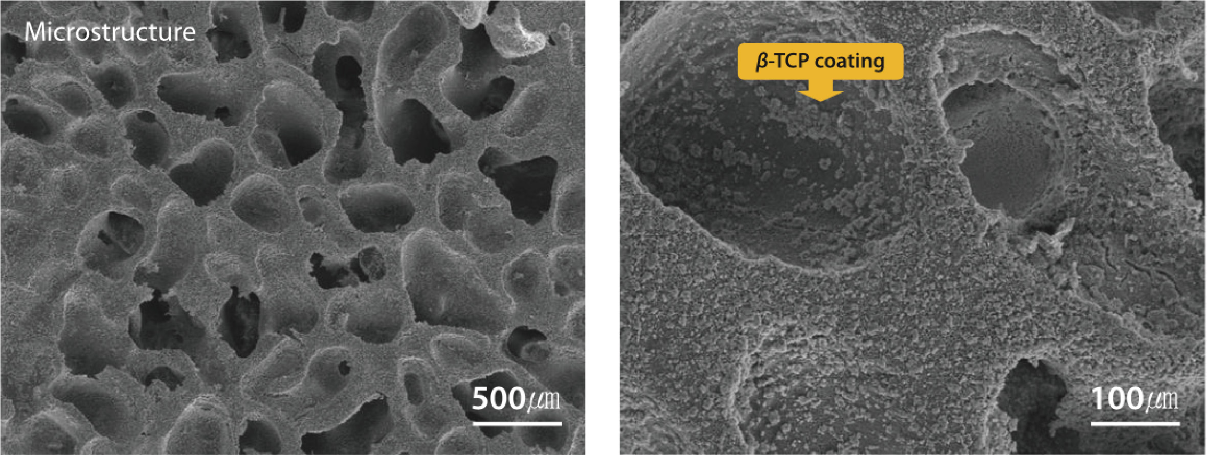 1749539872578370.jpg 1749539872578370.jpg