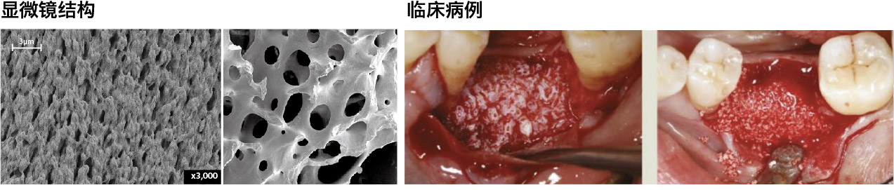 1749623752120821.jpg 內圖-01.jpg
